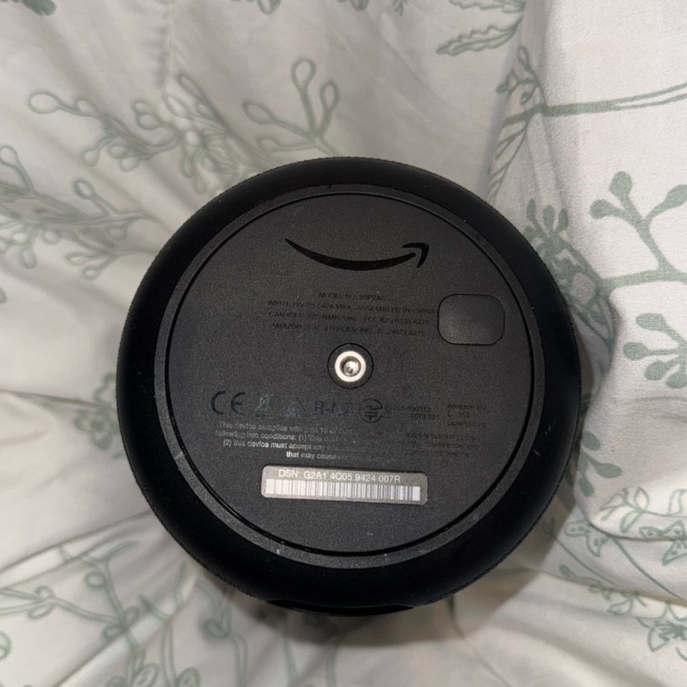 Large Amazon Echo Dot